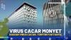 VIRUS CACAR MONYET BAGIAN VIRUS CACAR, TONTON FAKTANYA,(SUMBER : IDX CHANNEL)