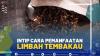 INTIP CARA PEMANFAATAN LIMBAH TEMBAKAU.(SUMBER : IDX CHANNEL)