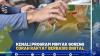 KENALI PROGRAM MINYAK GORENG CURAH RAKYAT BERBASIS DIGITAL, (SUMBER : IDX CHANNEL)