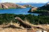 Sandiaga Sebut Wacana Tiket Terusan Rp3,75 Juta di Pulau Komodo Masih Dibahas (FOTO:MNC Media)