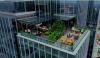 Rooftop Kita Bar di Lantai 36 Park Hyatt Buka 8 Juli (Dok.MNC)