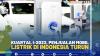 Kuartal I-2022, Penjualan Mobil Listrik di Indonesia Turun, (SUMEBER: IDX CHANNEL)
