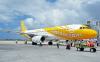 Siapa Pemilik Maskapai Scoot asal Singapura? Yuk Intip Penjelasannya. (Foto : MNC Media)