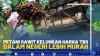 Petani Sawit Keluhkan Harga TBS Dalam Negeri Lebih Murah.(SUMBER : IDX CHANNEL)