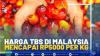 Harga TBS di Malaysia Mencapai Rp5000 Per Kg.(SUMBER : IDX CHANNEL)