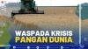 Waspada Krisis Pangan Dunia,(SUMBER: IDX CHANNEL)