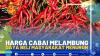 Harga Cabai Melambung, Daya Beli Masyarakat Menurun.(SUMBER : IDX CHANNEL)