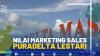 Nilai Marketing Sales Puradelta Lestari,(SUMBER: IDX CHANNEL)