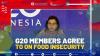 G20 Members Agree to On Food Insecurity,(SUMBER: IDX CHANNEL)