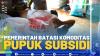 Pemerintah Batasi Komoditas Pupuk Subsidi.(SUMBER : IDX CHANNEL)