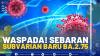 Waspada! Sebaran  Subvarian Baru BA.2.75.(SUMBER : IDX CHANNEL)