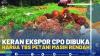 Keran Ekspor CPO Dibuka, Harga TBS Petani Masih Rendah.(SUMBER : IDX CHANNEL)