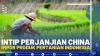 Intip Perjanjian China Impor Produk Pertanian Indonesia.(SUMBER : IDX CHANNEL)