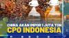 China Akan Impor 1 Juta Ton CPO Indonesia,(SUMBER: IDX CHANNEL)