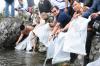 Wujud PSO BUMN, Semen Padang Dukung Konservasi di Habitat Asli Danau Singkarak (foto: MNC Media)
