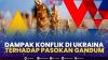 Dampak Konflik di Ukraina Terhadap Pasokan Gandum.(SUMBER : IDX CHANNEL)