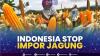Indonesia Stop Impor Jagung,(Sumber: IDX CHANNEL)