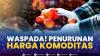 Waspada! Penurunan Harga Komoditas.(SUMBER : IDX CHANNEL)