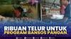 Ribuan Telur untuk Program Bansos Pangan,(Sumber: IDX CHANNEL)