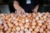 Waspada Flu Burung, Masyarakat Diminta Konsumsi Telur Matang (Foto: MNC Media)