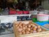 Pedagang di Salatiga Pusing, Harga Telur Masih Mahal Rp30 per Kilogram  (FOTO:MNC Media)