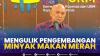 Mengulik Pengembangan Minyak Makan Merah.(SUMBER : IDX CHANNEL)