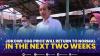 Jokowi: Egg Price Will Return to Normal in The Next Two Weeks.(SUMBER : IDX CHANNEL)