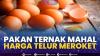 Pakan Ternak Mahal, Harga Telur Meroket.(SUMBER : IDX CHANNEL)