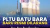 PLTU Batu Bara Baru Resmi Dilarang. (SUMBER : IDX CHANNEL)
