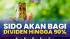 Sido Akan Bagi Dividen Hingga 90%. (SUMBER : IDX CHANNEL)
