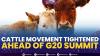 Cattle Movement Tightened Ahead of G20 Summit. (SUMBER : IDX CHANNEL)