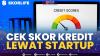 Cek Skor Kredit Lewat Startup. (SUMBER : IDX CHANNEL)