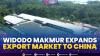 Widodo Makmur Expands Export Market to China,(Sumber: IDX CHANNEL)