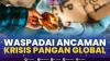 Waspadai Ancaman Krisis Pangan Global. (SUMBER : IDX CHANNEL)