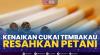 Kenaikan Cukai Tembakau Resahkan Petani,(Sumber: IDX CHANNEL)