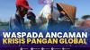 Waspada Ancaman Krisis Pangan Global,(Sumber: IDX CHANNEL)