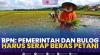 BPN: Pemerintah dan Bulog Harus Serap Beras Petani. (SUMBER : IDX CHANNEL)