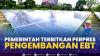 Pemerintah Terbitkan Perpres Pengembangan EBT,(Sumber: IDX CHANNEL)
