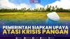 Pemerintah Siapkan Upaya Atasi Krisis Pangan,(Sumber: IDX CHANNEL)