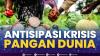 Antisipasi Krisis Pangan Dunia. (Sumber : IDXChannel)