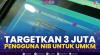 Targetkan 3 Juta Pengguna NIB untuk UMKM,(Sumber: IDX CHANNEL)