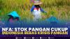 NFA: Stok Pangan Cukup Indonesia Bebas Krisis Pangan