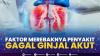 Faktor Merebaknya Penyakit Gagal Ginjal Akut. (Sumber : IDXChannel)
