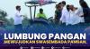 Lumbung Pangan Mewujudkan Swasembada Pangan. (Sumber : IDXChannel)