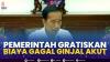 Pemerintah Gratiskan Biaya Gagal Ginjal Akut,(Sumber: IDX CHANNEL)