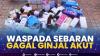 Waspada Sebaran Gagal Ginjal Akut,(Sumber: IDX CHANNEL)