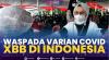 Waspada Varian Covid XBB di Indonesia,(Sumber: IDX CHANNEL)