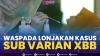 Waspada Lonjakan Kasus Sub Varian XBB,(Sumber: IDX CHANNEL)