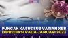 Puncak Kasus Sub Varian XBB Diprediksi Januari 2023,(Sumber: IDX CHANNEL)