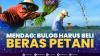 Mendag: Bulog Harus Beli Beras Petani. (Sumber : IDXChannel)